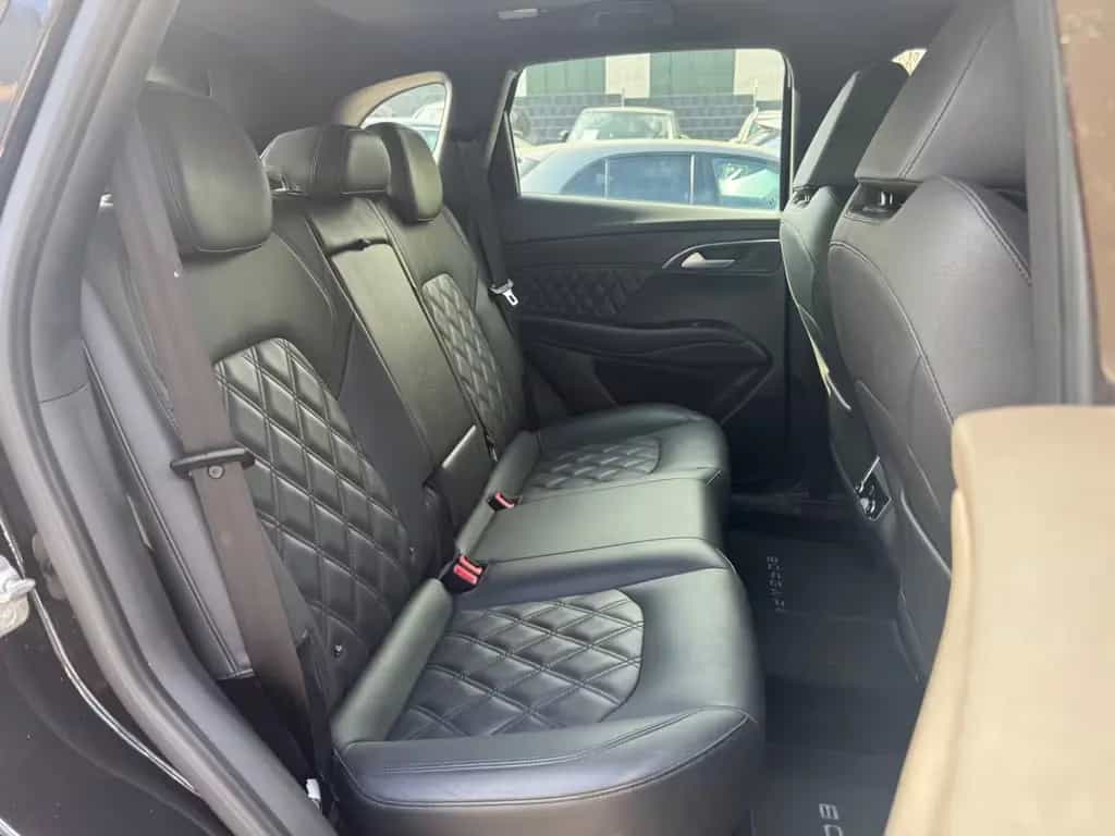 Borgward Other BX7 2.0 TGDI TS*PANORAMA*R-KAMERA*SHZ*NAVI* 03/2019-photo-19