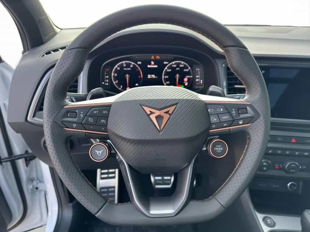Cupra Ateca VZ 2.0 TSI 300PS 4x4 Business Paket AHK uv null-photo-13