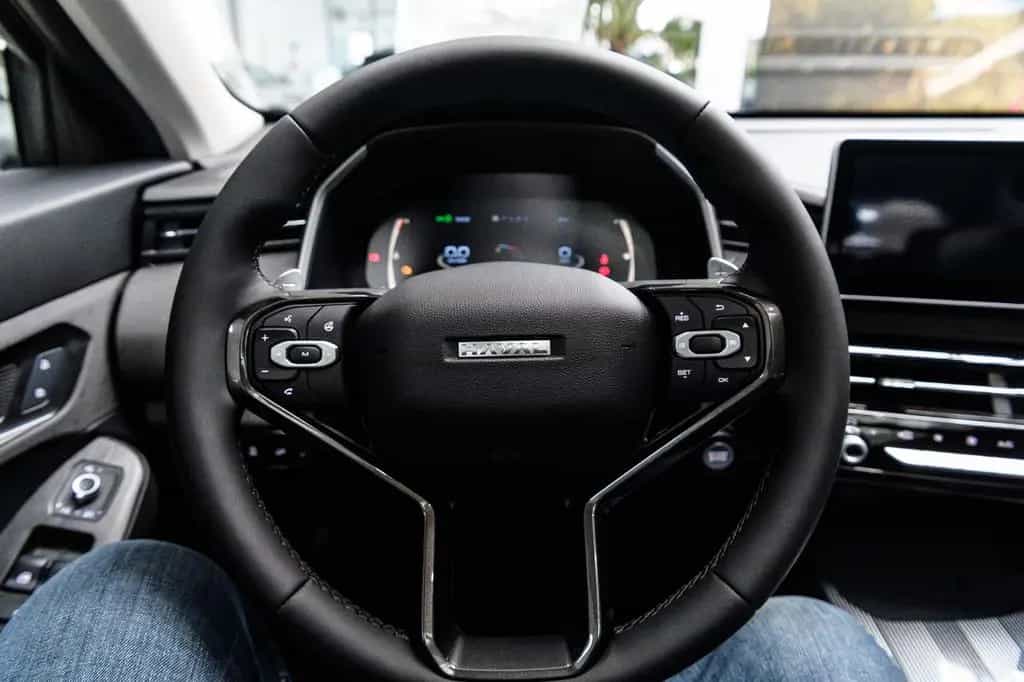 GWM Haval Jolion Premium /Pano/LED/LM/360 null-photo-27