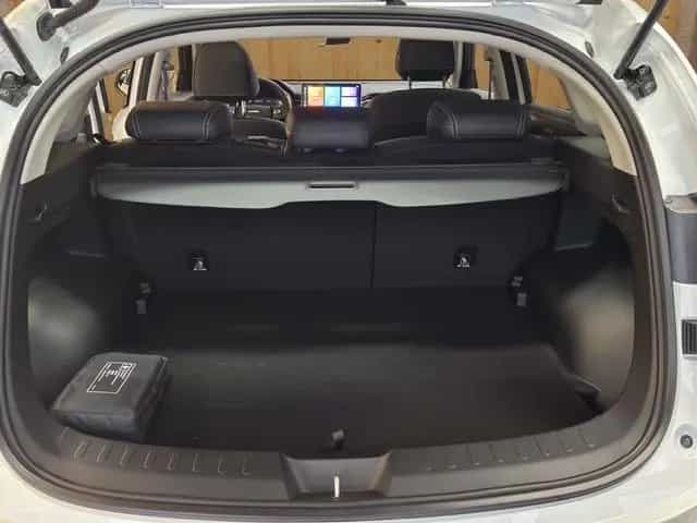 GWM HAVAL Jolion Pro Luxury null-photo-16