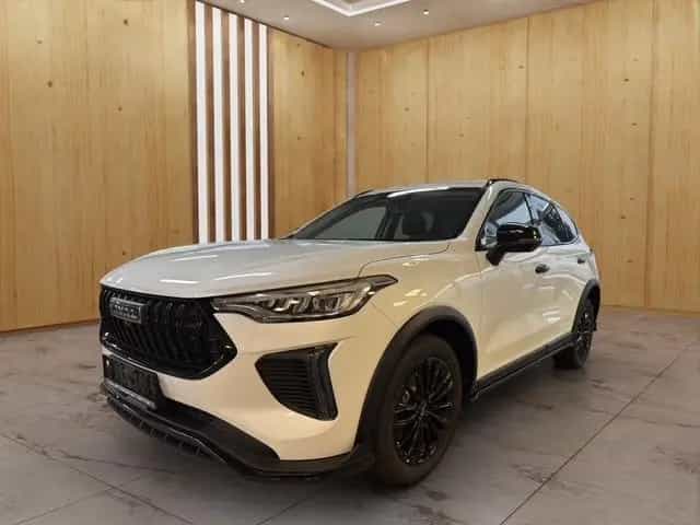 GWM HAVAL Jolion Pro Luxury null-photo-2