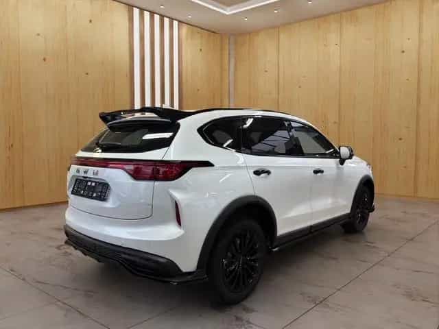 GWM HAVAL Jolion Pro Luxury null-photo-5