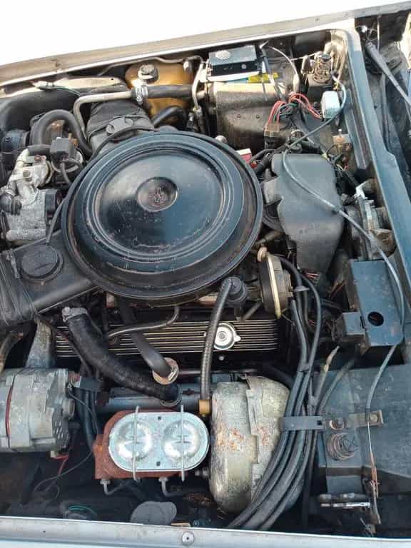 Corvette C3 07/1981-photo-5
