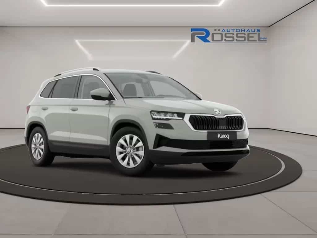 Skoda Karoq 1,5 TSI DSG Selection Pro AHK Elek. Heckkl null-photo-0