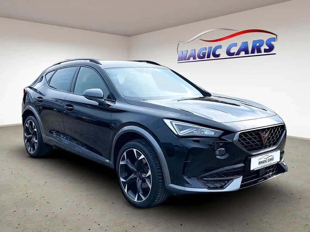 Cupra Formentor 1.5 TSI DSG *Kamera*Virtual*28.000KM* 01/2023-photo-14