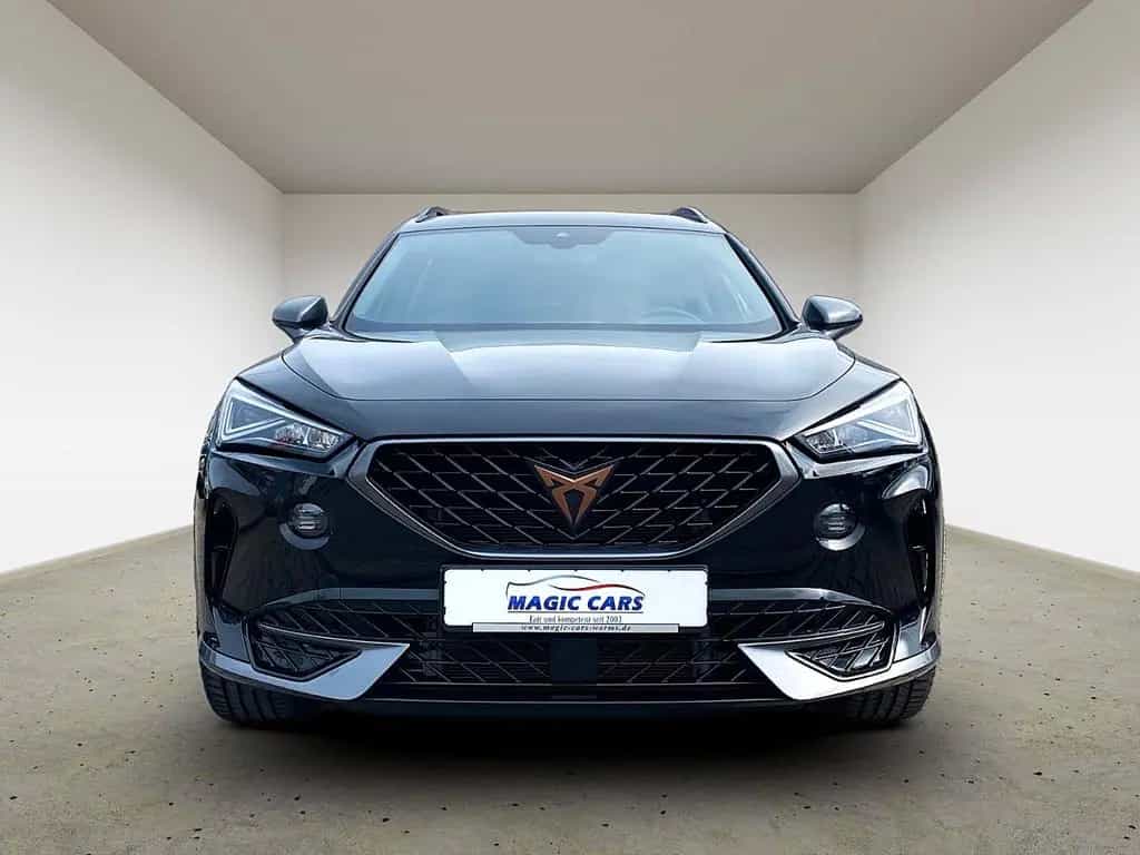 Cupra Formentor 1.5 TSI DSG *Kamera*Virtual*28.000KM* 01/2023-photo-16