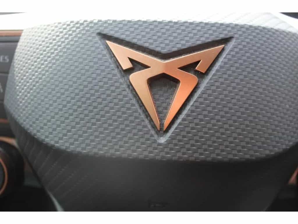 Cupra Formentor 2.5 TSI DSG 4Drive VZ5 360 KAMERA LED 12/2023-photo-12