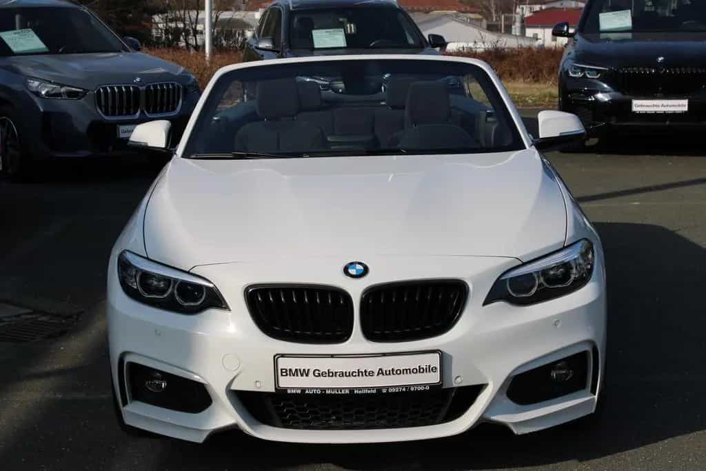 BMW 2 Series 220i A M Sportpaket Navi Bus. Tempomat USB Shz 05/2019-photo-1