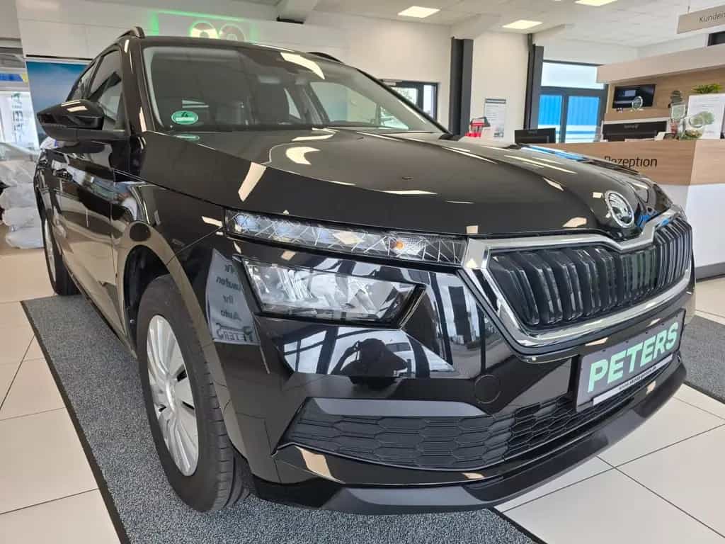Skoda Kamiq Tour PDC Tempomat Fronradar-Assistent 06/2022-photo-0