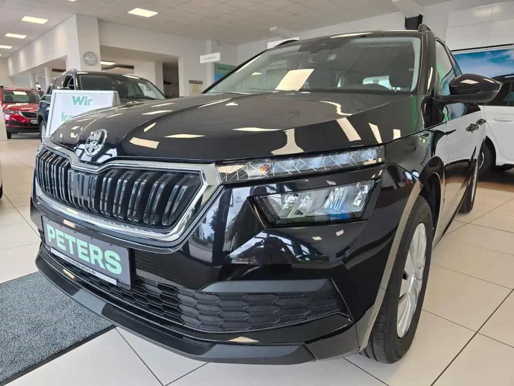 Skoda Kamiq Tour PDC Tempomat Fronradar-Assistent 06/2022-photo-1
