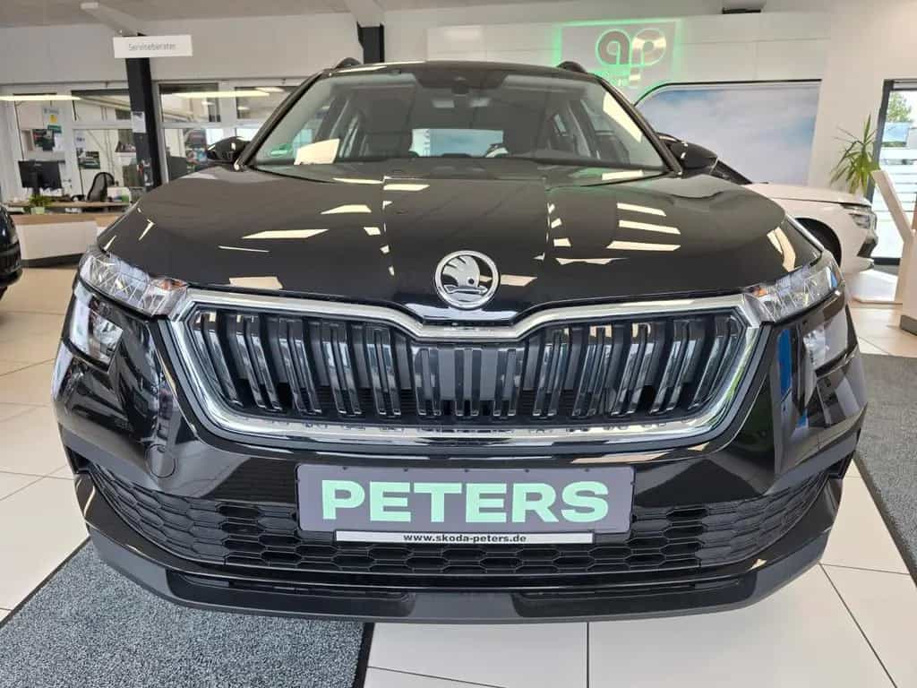 Skoda Kamiq Tour PDC Tempomat Fronradar-Assistent 06/2022-photo-2