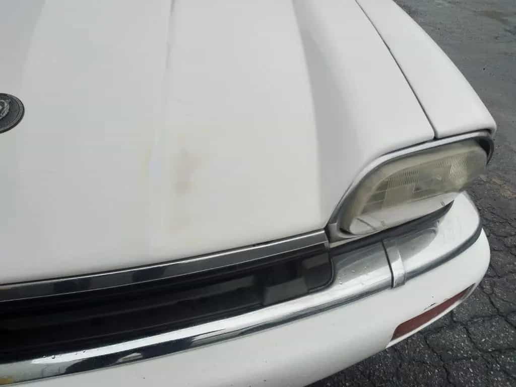 Jaguar XJS CELEBRATION 1996 10/1996-photo-9