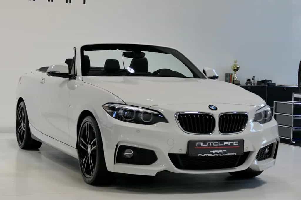 BMW 2 Series 218 d M Sport *Navi*Leder*H&K*LED*AHK*LM18* 04/2018-photo-3