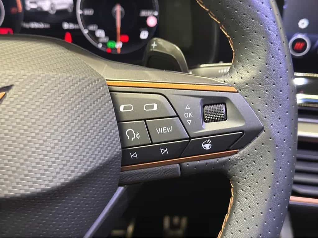 Cupra Formentor 2.0 TSI DSG VZ LED NAVI ACC SIDEASS PA 02/2024-photo-18