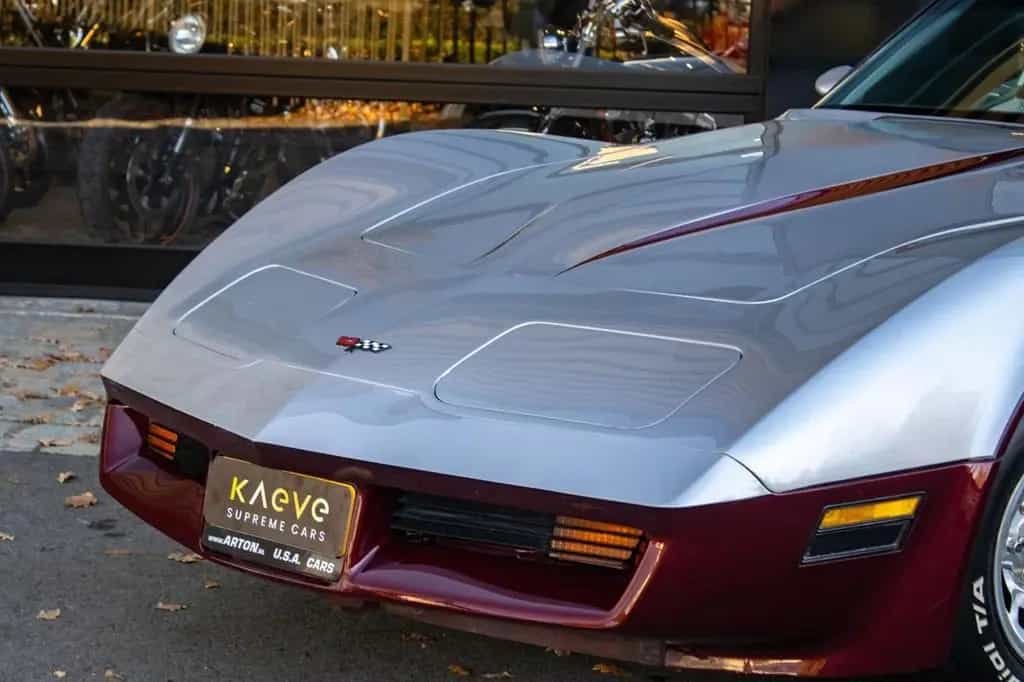 Chevrolet Corvette C3 | 5.7L (350 ci) V8|Cross-Fire Inject 02/1982-photo-18