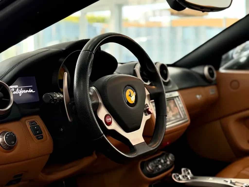 Ferrari California 4.3 V8/Daytona/Cuoio/Scuderia/Kamera 05/2010-photo-18