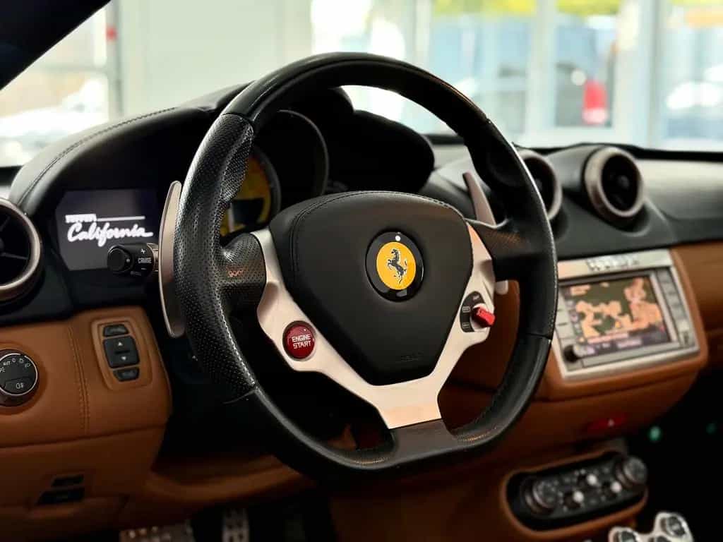 Ferrari California 4.3 V8/Daytona/Cuoio/Scuderia/Kamera 05/2010-photo-19
