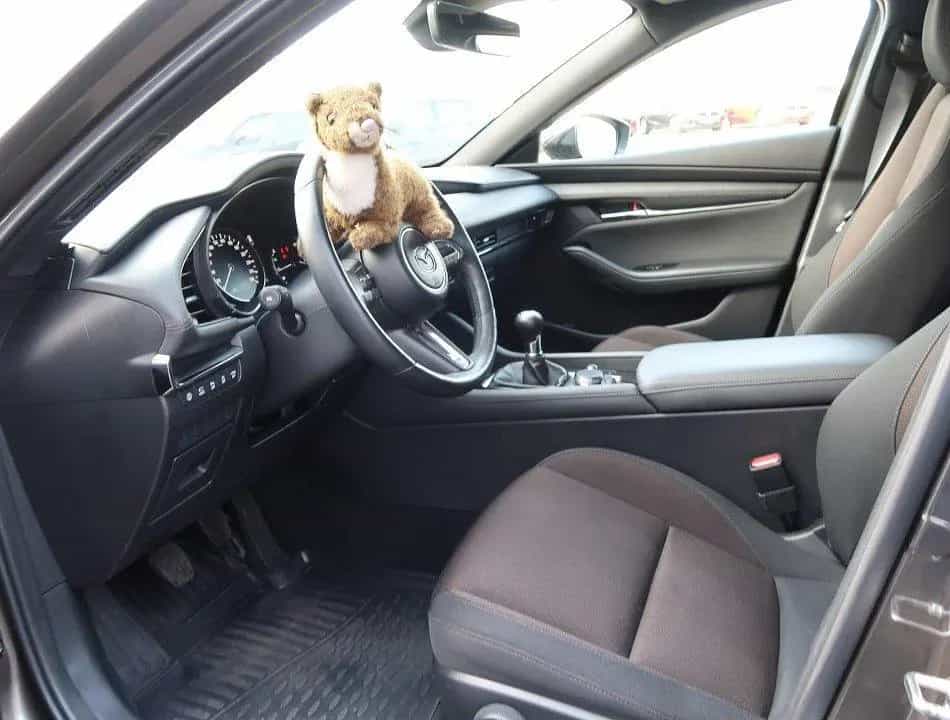 Mazda 3 SELECTION*360°Monitoring*Matrix LED*lückenl.Sc 12/2019-photo-25