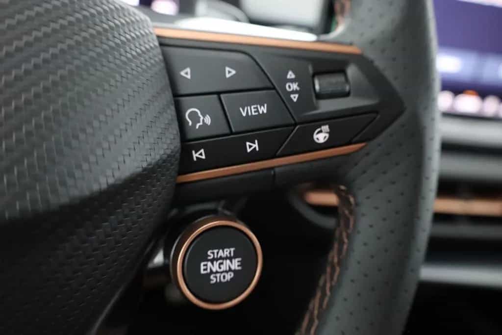 Cupra Terramar VZ 2.0 TSI 4Drive DSG LED ACC Navi AHK 10/2025-photo-15