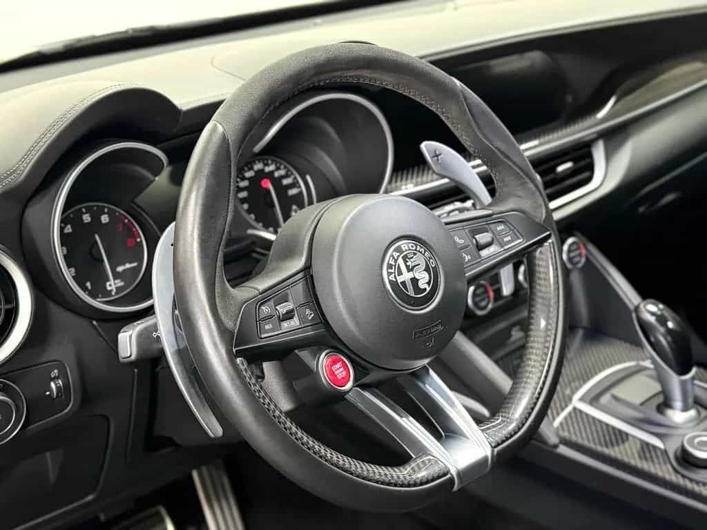 Alfa Romeo Stelvio Quadrifoglio Q4 | 1.Hand - Pano! 06/2019-photo-17