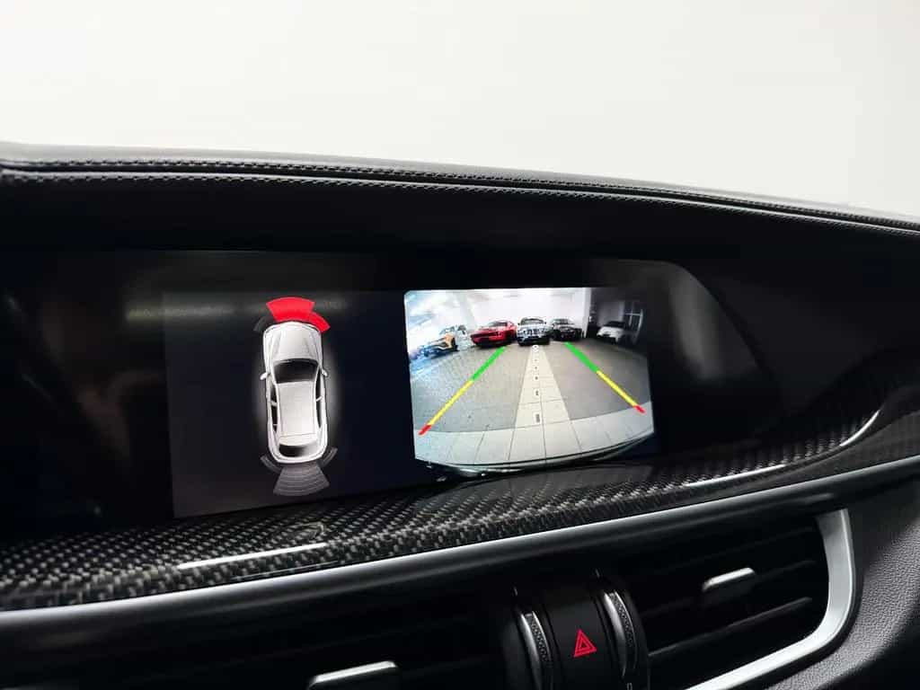 Alfa Romeo Stelvio Quadrifoglio Q4 | 1.Hand - Pano! 06/2019-photo-20