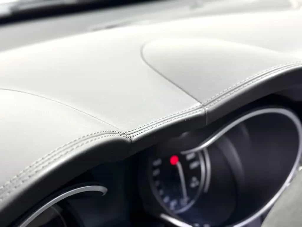 Alfa Romeo Stelvio Quadrifoglio Q4 | 1.Hand - Pano! 06/2019-photo-23