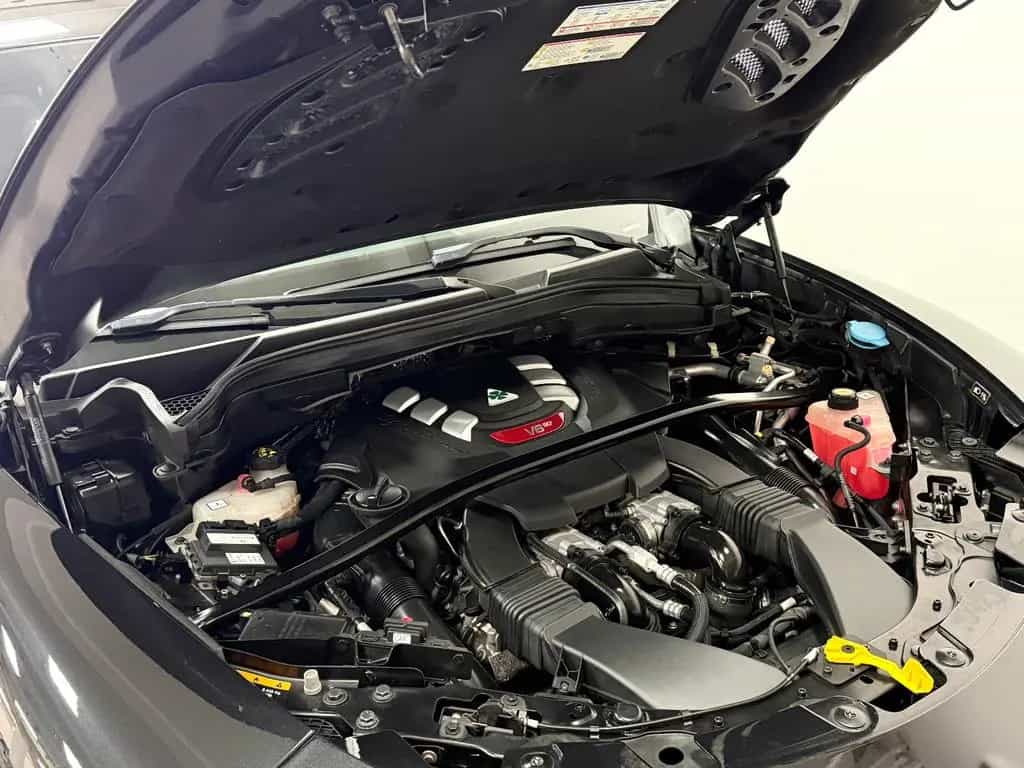 Alfa Romeo Stelvio Quadrifoglio Q4 | 1.Hand - Pano! 06/2019-photo-26