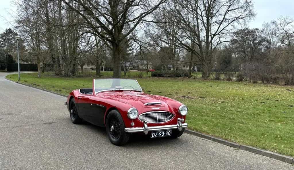 Austin Healey Other Andere 100/6 3000 OD Hammer Preis! 01/1959-photo-6
