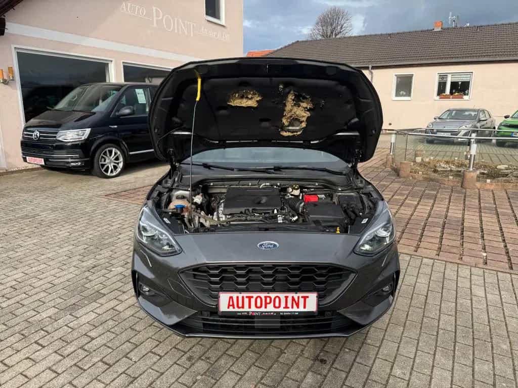 Ford Focus Turnier ST-Line 07/2019-photo-14