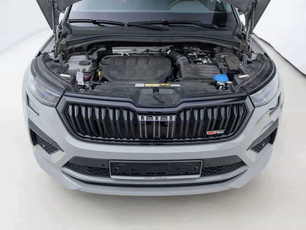 Skoda Kodiaq 2.0 TSI RS DSG*4x4*ACC*MATRIX*APP*DCC*NAV 03/2024-photo-19