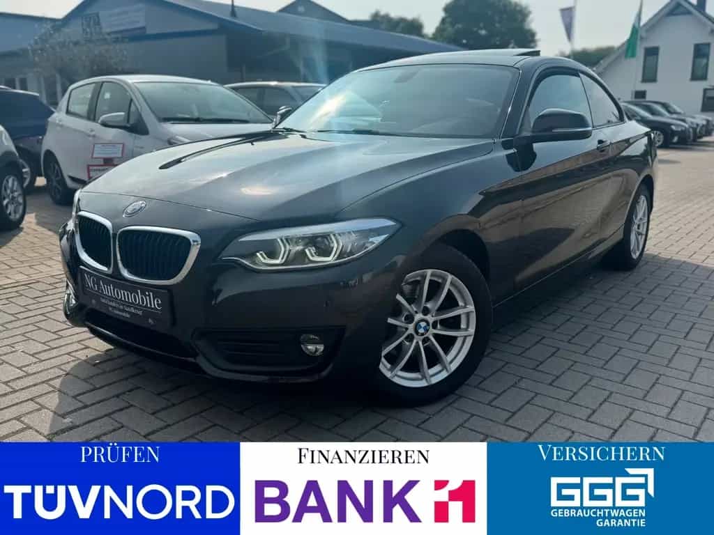 BMW 218 i Coupe Auto. *Cam*Vollleder*Schiebedach*Navi 06/2018-photo-0