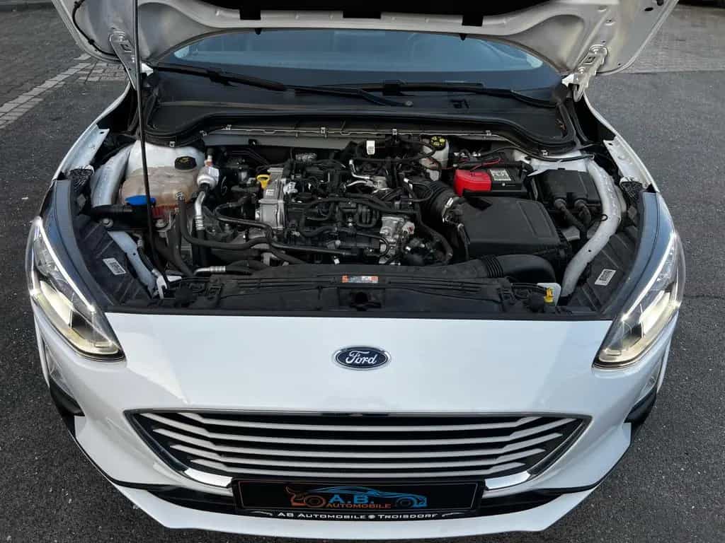 Ford Focus Lim. Cool & Connect 05/2021-photo-14