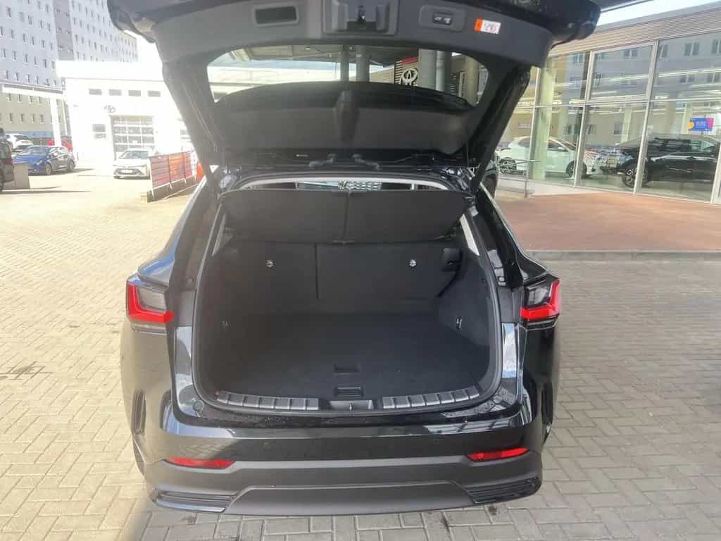 Lexus NX 350h NX 350 h   Luxury Line 10/2025-photo-9
