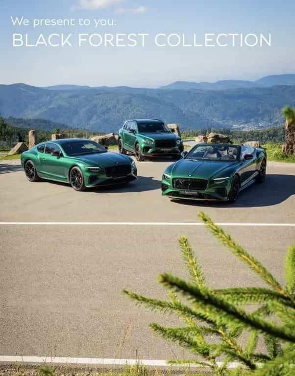Bentley Bentayga S V8 "Unikat" Black Forest Edition ( 1 null-photo-2
