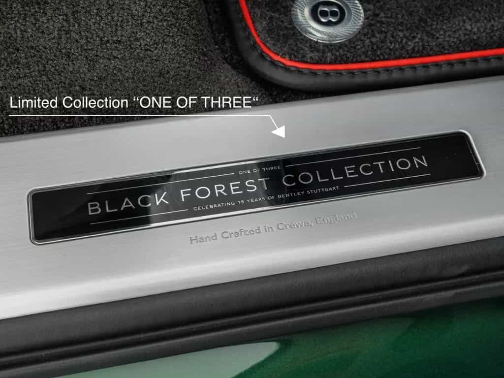 Bentley Bentayga S V8 "Unikat" Black Forest Edition ( 1 null-photo-25