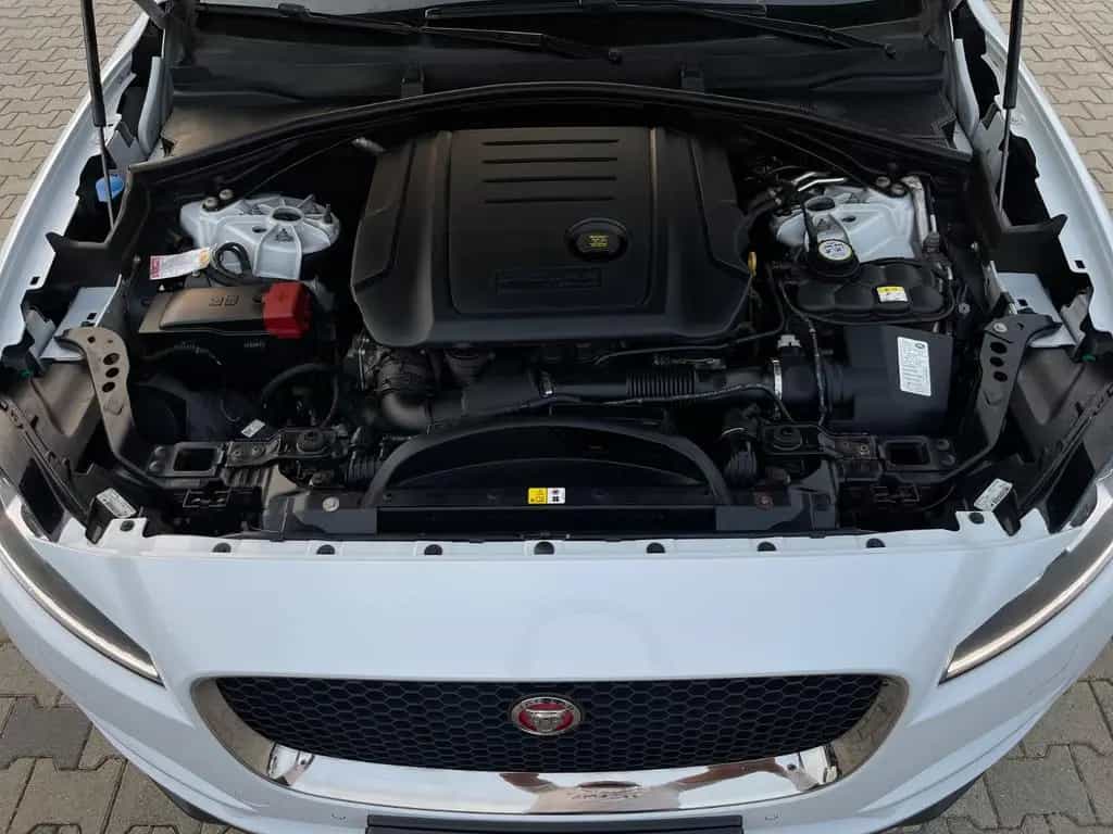 Jaguar F-Pace Portfolio AWD-Soundsystem-Rückfahrkamera 07/2020-photo-28