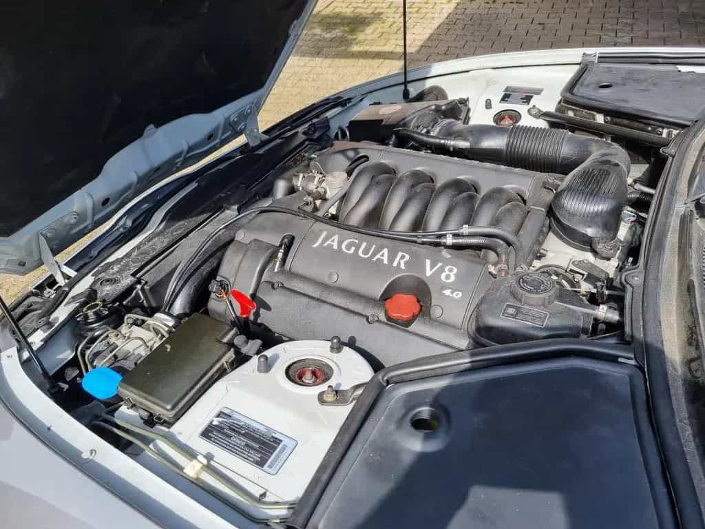 Jaguar XK8 - Sommerzeit - Cabriozeit 07/1999-photo-11