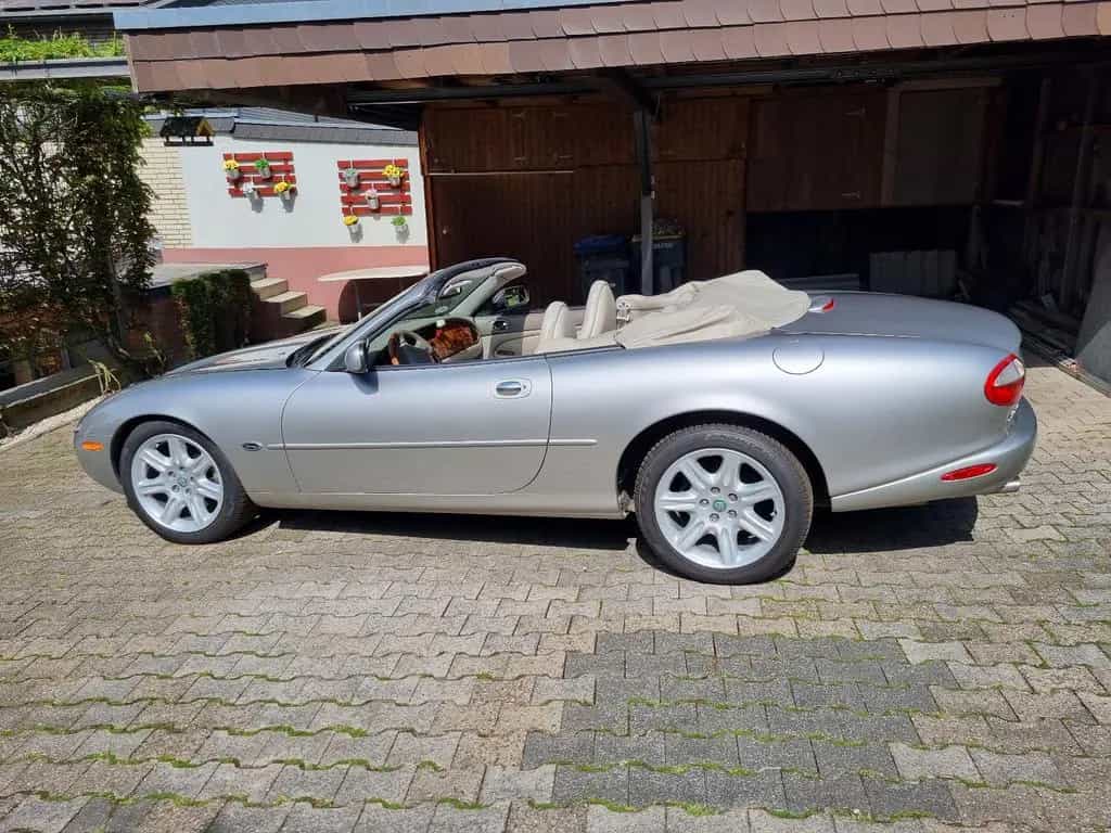 Jaguar XK8 - Sommerzeit - Cabriozeit 07/1999-photo-6
