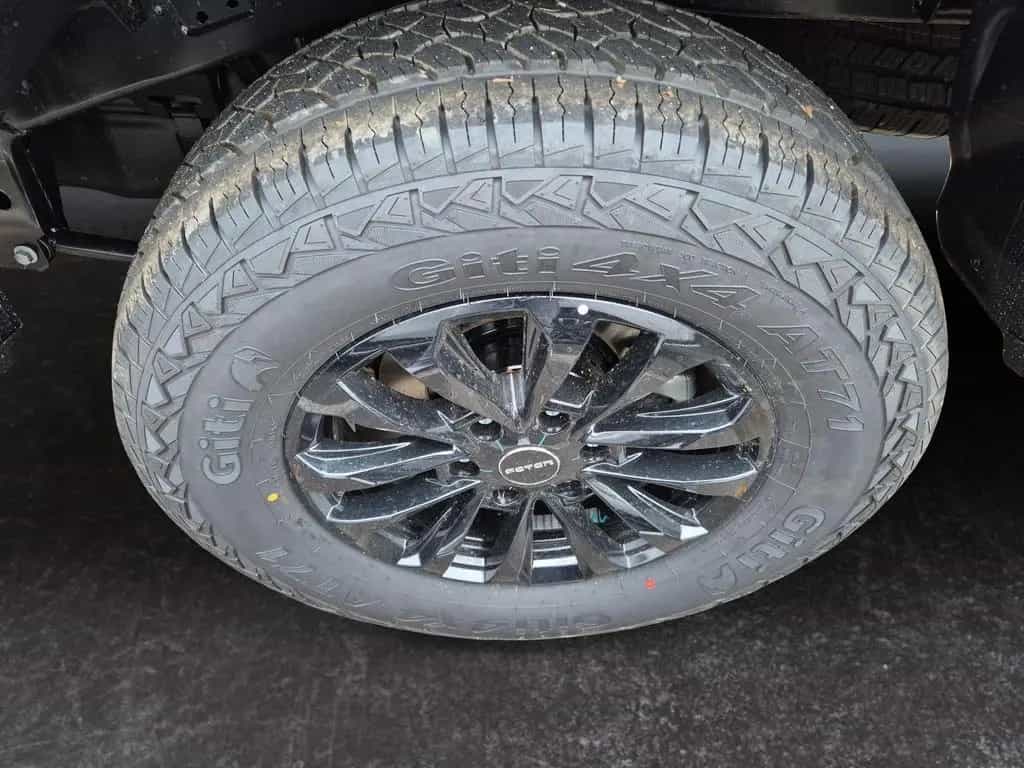 Foton 4 Ultra 2.0 L Diesel 117kW 8AT null-photo-3