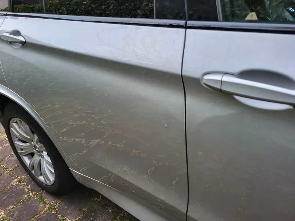 BMW X5 xDrive25d -M  7 Sitzer 06/2018-photo-4
