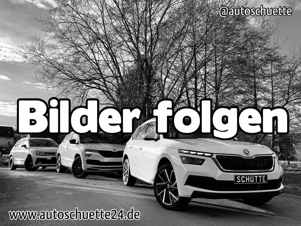 Volkswagen Golf VII R 4Motion 310PS Schalter 19" 3T no OPF 07/2017-photo-22
