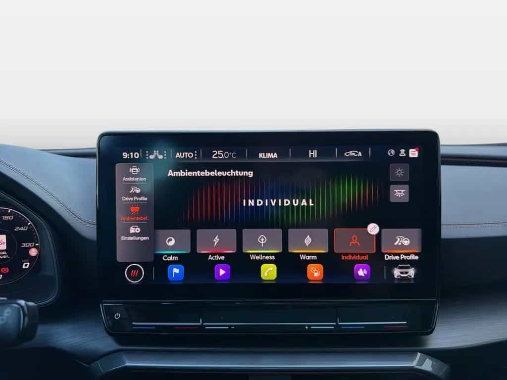 Cupra Formentor VZ Tribe Edition 2.0 TSI eSD MATRIX 11/2023-photo-19