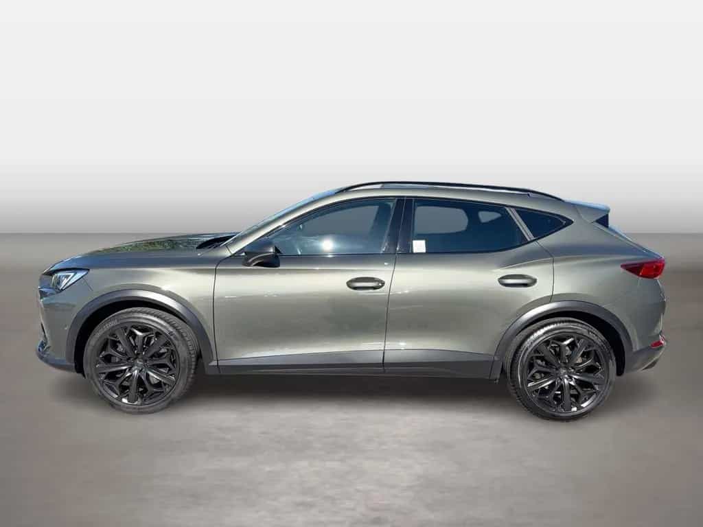 Cupra Formentor VZ Tribe Edition 2.0 TSI eSD MATRIX 11/2023-photo-3