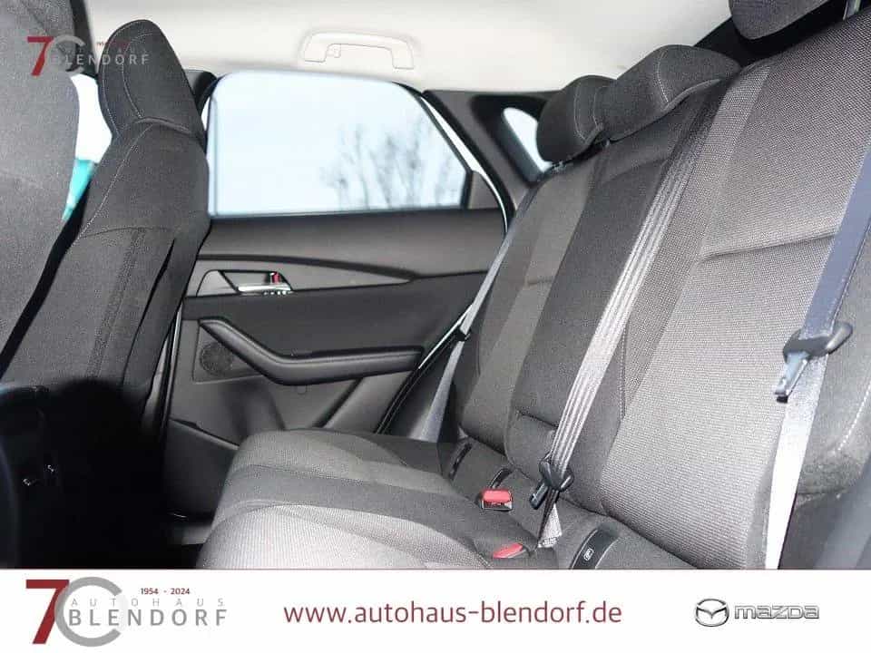 Mazda CX-30 Selection 186 Automatik Allwetter|MatrixLE 07/2022-photo-15