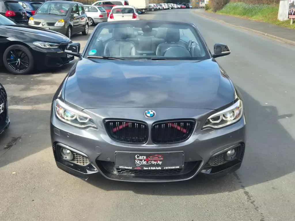 BMW 2 Series 220 iA Cabrio M Sport Technik/AHK/Garantie/ 12/2016-photo-14