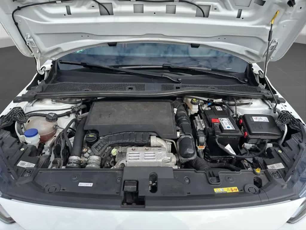 Opel Corsa F GS Line 360 Grad Klima LED DAB Spurhalte 01/2023-photo-18