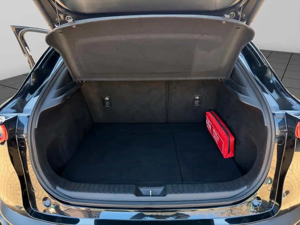 Mazda CX-30 Selection AWD NAVI TEMP SHZ PDC LA 09/2020-photo-22