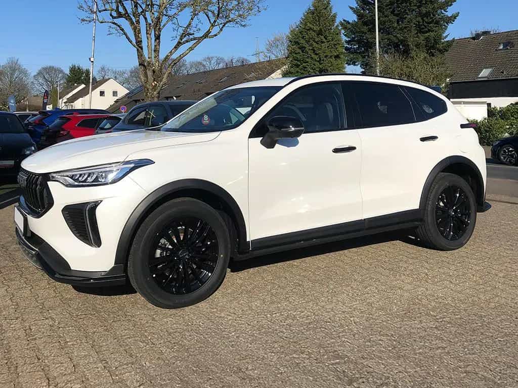 GWM Haval Jolion Pro 1.5 Luxury null-photo-3