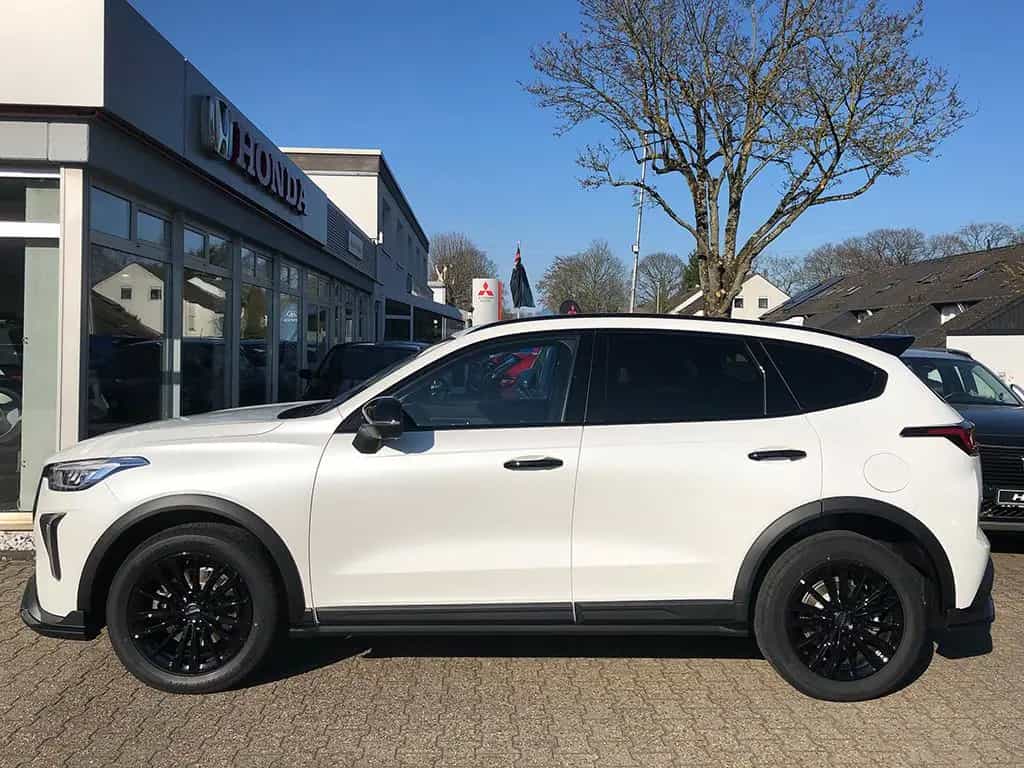 GWM Haval Jolion Pro 1.5 Luxury null-photo-4