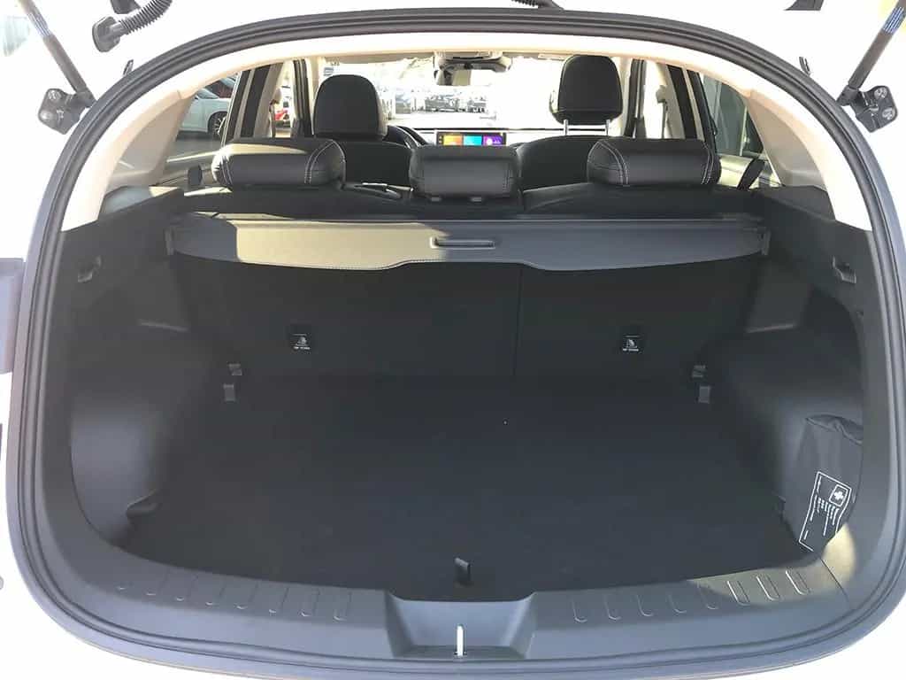 GWM Haval Jolion Pro 1.5 Luxury null-photo-9